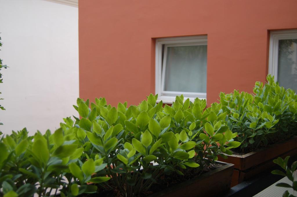 Buda Castle Apartments Budapest Szoba fotó