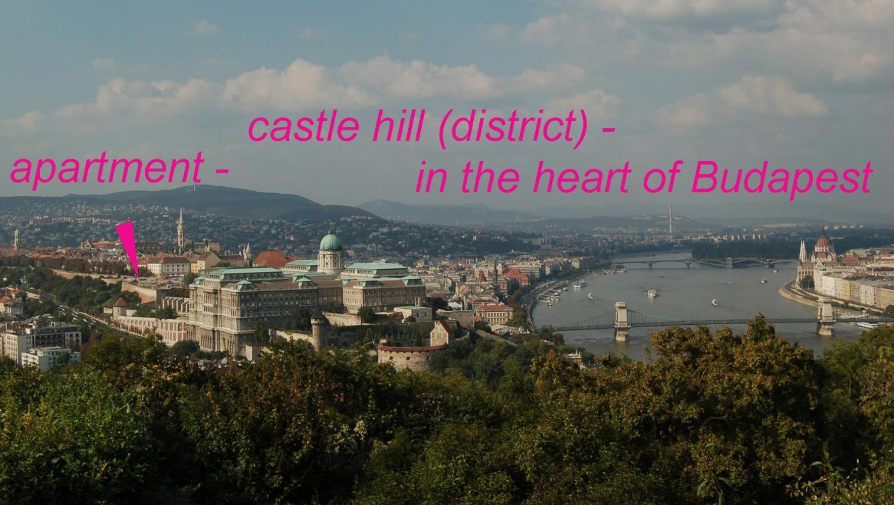 Buda Castle Apartments Budapest Kültér fotó